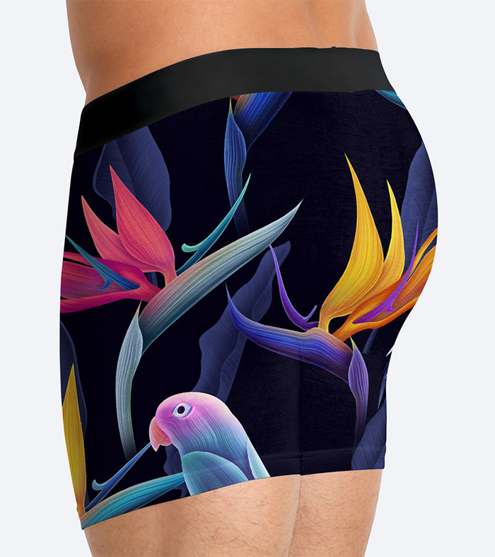 parrots boxer brief